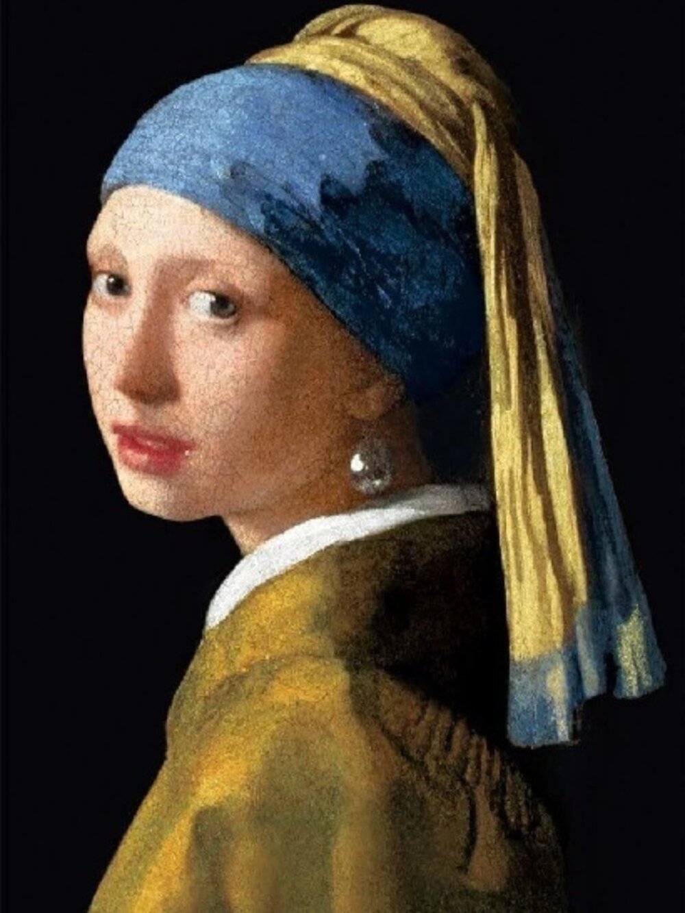 Johannes Vermeer: Girl With a Pearl Earring (used 1000 PC jigsaw puzzle)
